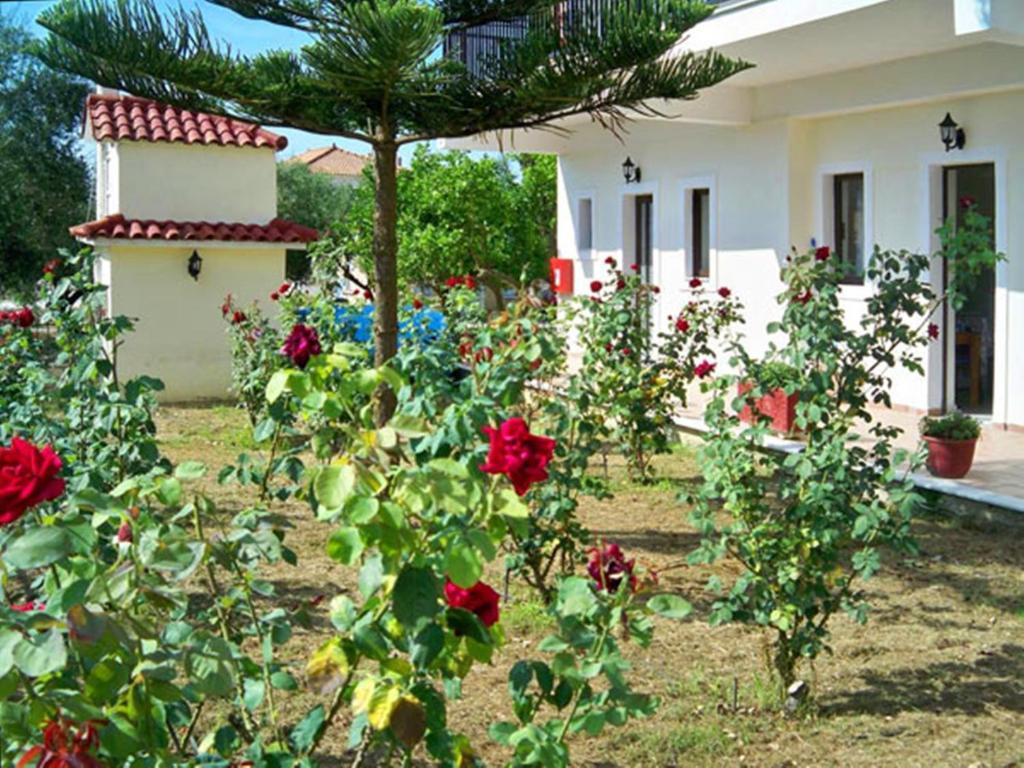 Appartement Red Rose Garden à Tsilivi  Extérieur photo