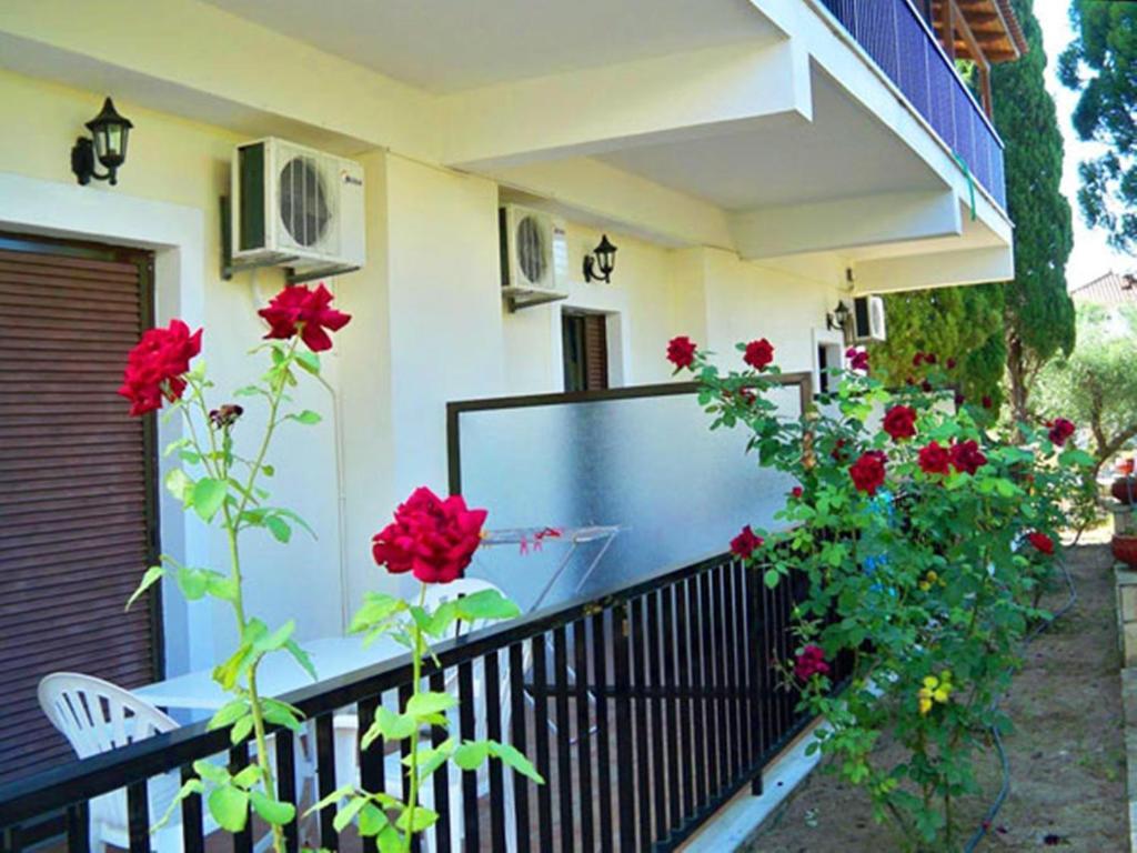 Appartement Red Rose Garden à Tsilivi  Extérieur photo